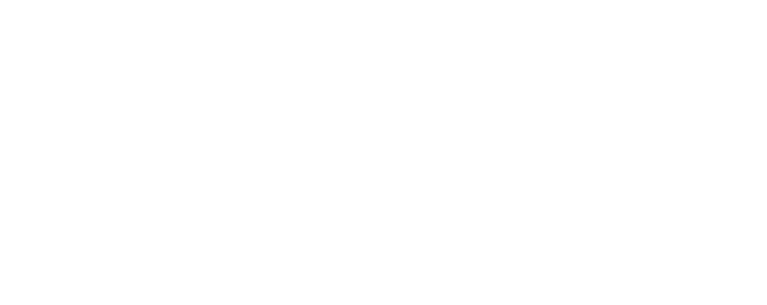 Onze Partner 2 logo parcelinternational sidewit